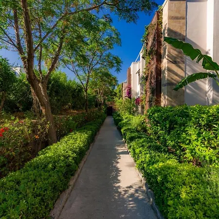 Hotel Bodrium & 4*