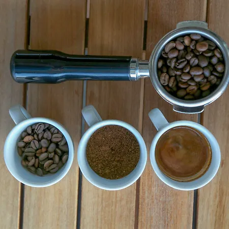 Bodrium & 3* בודרום